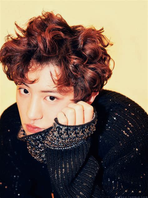 The Ridiculous Chronicles Of A Shy Gay Boy Asianfanfics