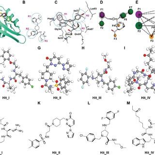 Pharmacophore Modeling And 2D 3D Molecular Structures Of Identified