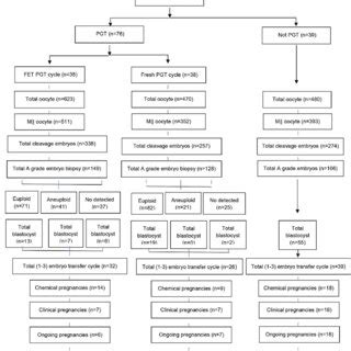 Schematic Representation Of Study Design And Workflow Total