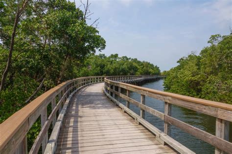 12 Best Hikes In Tampa You Shouldn T Miss Artofit