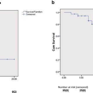 Kaplanmeier Curves Illustrate The A Overall Survival And B Local