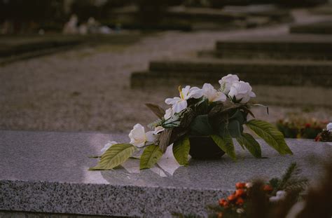 Un vieil homme découvre chaque jour des fleurs fraîches sur la tombe de