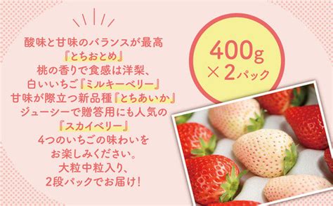 大満足4種食べ比べセット（とちおとめ、ミルキーベリー、とちあいか、スカイベリー）400g×2パック 800g｜いちご イチゴ 苺 先行予約