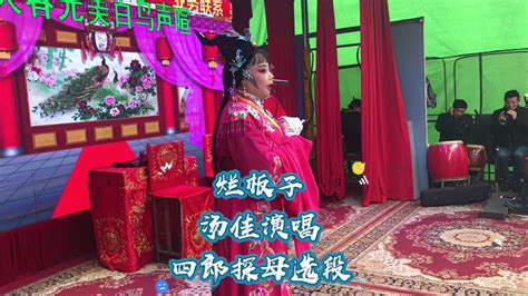 湖南花鼓戏 《四郎探母》选段，烂板子，南县汤佳演唱！ 音乐视频 搜狐视频