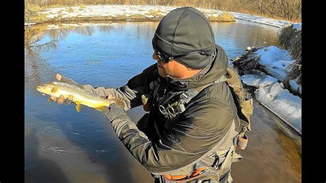 Wisconsin Trout Fishing 332023 Youtube