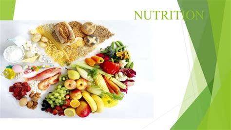 introduction  nutrition pptx