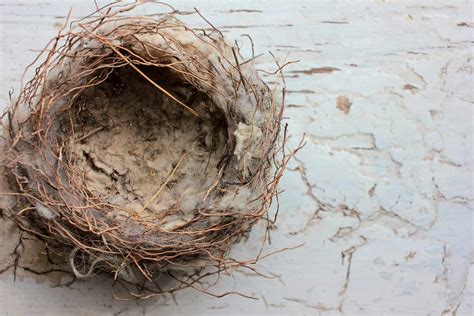 6 Tips For Coping With Empty Nest Syndrome Artofit