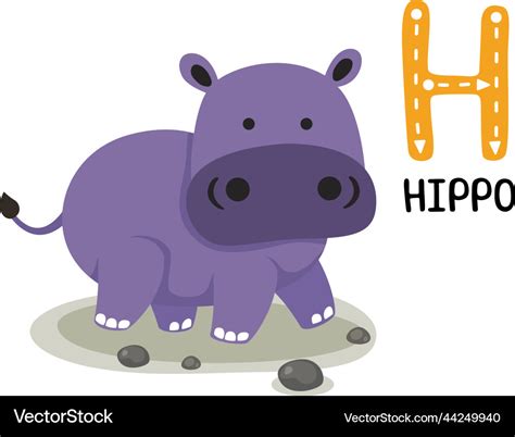 Isolated Animal Alphabet Letter H Hippo Royalty Free Vector