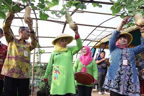 Manfaatkan Lahan Kosong Untuk Urban Farming Koran Jakarta