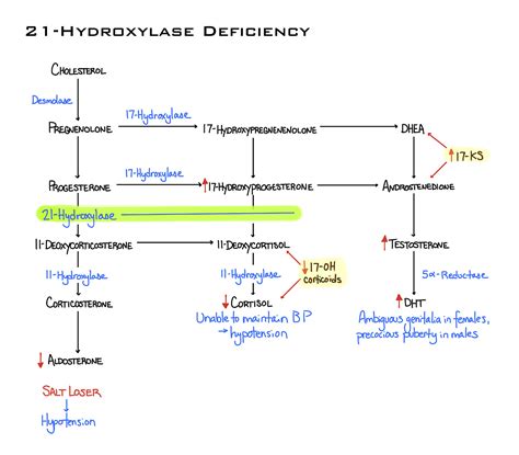 Congenital Adrenal Hyperplasia Basics Explained With Off