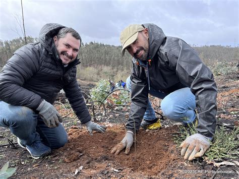 Voluntários reforçam o futuro bosque de Jancido 424 nativas