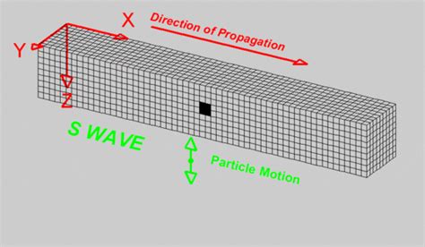 P Waves S Waves And Movement