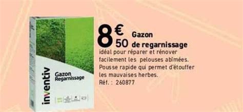 Promo Gazon De Regarnissage Inventiv Chez Mr Bricolage Icatalogue Fr