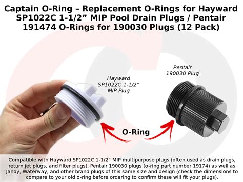 Captain O Ring Replacement O Rings For Pentair