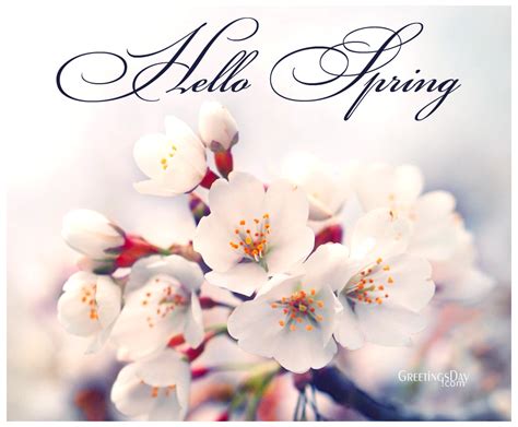 Welcome Spring Online Card Images Animated Pictures And Quotes