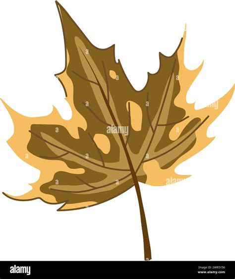 Canadian Maple Leaf Cartoon Vector Illustration Stock Vector Image