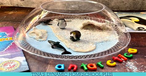 How to Make an Easy Antarctica Diorama With Your Kids