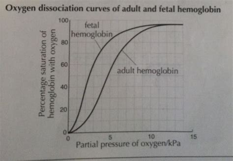 Co Oxygen Dissociation Curve Hot Sex Picture