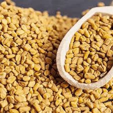 Fenugreek Seeds Methi Dana Indian Organic And Pure Etsy