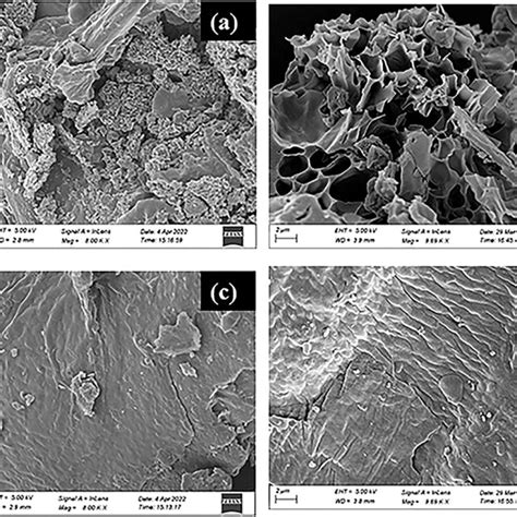 Scanning Electron Micrographs Sem Of A Efsc Before Adsorption