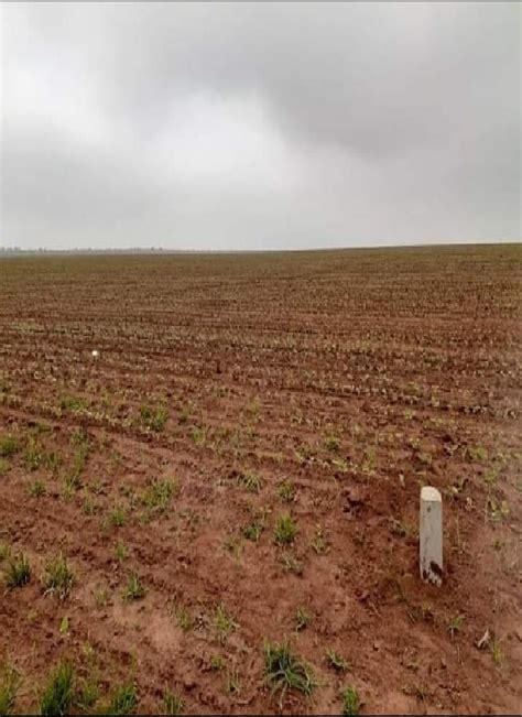 Fazenda P Gina Achou Mudou An Ncio Gr Tis De Im Veis Casas