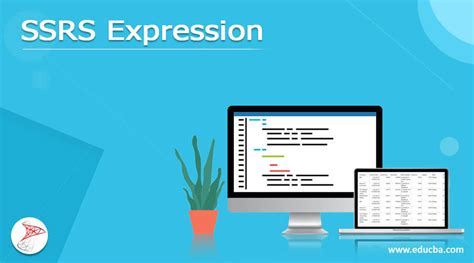 Ssrs Expression Complete Guide To Ssrs Expression In Detail