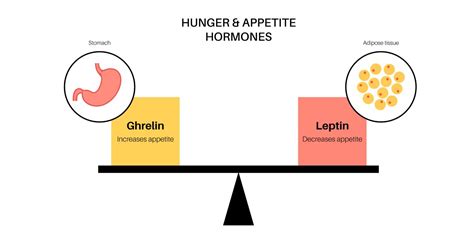 What Is The Satiety Index Of Common Foods Nutrition Advance