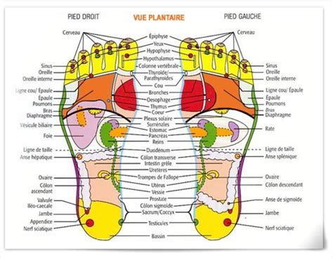 Réflexologie Plantaire THAÏ Soin Basique bulle de bien etre