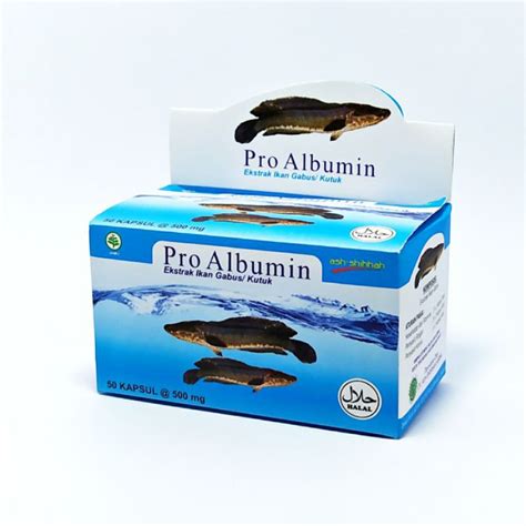 Jual Pro Albumin Ash Shihhah Kapsul Ekstrak Ikan Gabus Kutuk Original