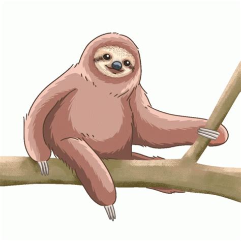 Sloth Pygmy Three Toed Sloth Sticker Sloth Pygmy Three Toed Sloth