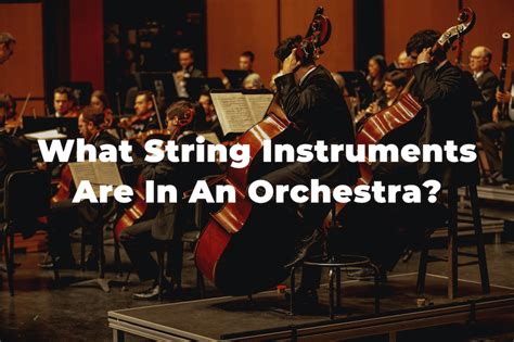 7 String Musical Instruments In An Orchestra You Should Know