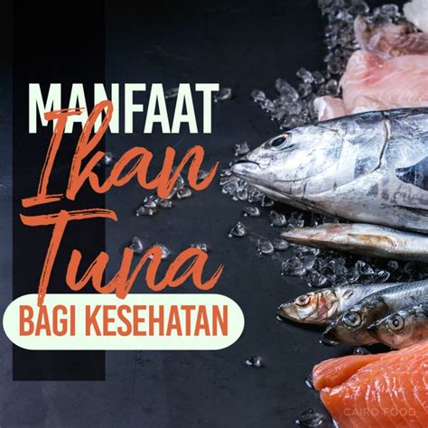 18 Manfaat Ikan Tuna Bagi Kesehatan Cairo Food