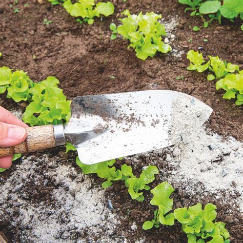 How To Improve Clay Soil For Gardening Ideal Home