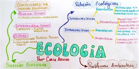 O Que Mais Cai Em Biologia No Enem