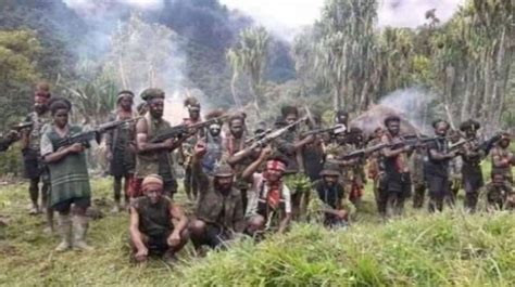 Penjelasan Asal Sumber Dana Kkb Papua Hingga Punya Senjata Tembaki