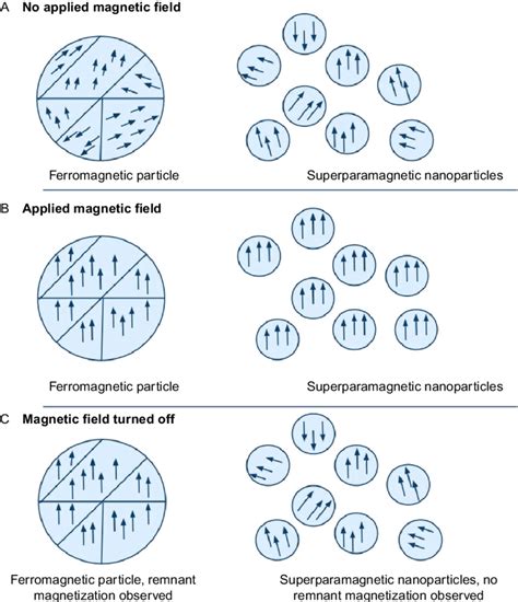 1 Superparamagnetic Versus Ferromagnetic Particles In A The Absence