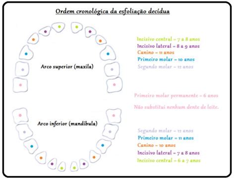 É Normal O Dente De Leite Cai Com 5 Anos - Quando cai o primeiro dente de leite? - Almanaque dos Pais | Fada dos ...