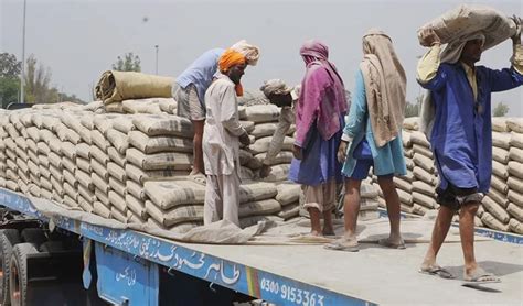cement price  pakistan falls latest updated rates bloom pakistan
