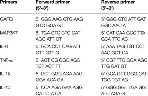 Primer Sequences For Mrna Quantitation In Qrt Pcr Download