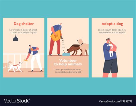 Volunteer work in animals shelter cartoon banners Vector Image