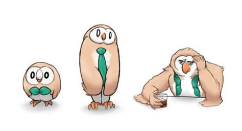 Rowlets Leaked Evolution Rowlets Roundness Know Your Meme