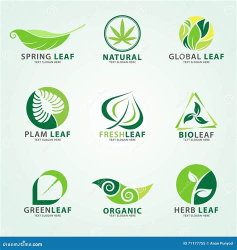 Green Leaf Logo For Business Vector Set Design Stock Vector