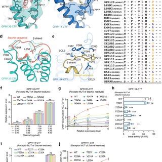 Cryo Em Structures Of Gpr Ctfgs And Gpr Ctfgs Complexes A