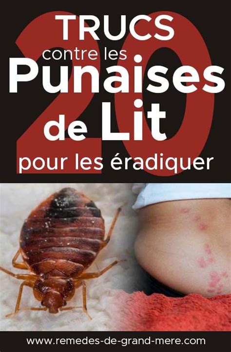 Lutter Naturellement Contre Les Punaises De Lit 20 Trucs Qui Marchent