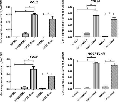 Gene Expressions Of Chondrogenic Markers In HiPSCMSC Chondrogenic