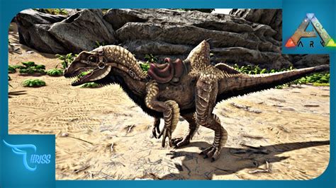 Cara Mudah Taming Concavenator Ark Survival Evolved Indonesia Youtube