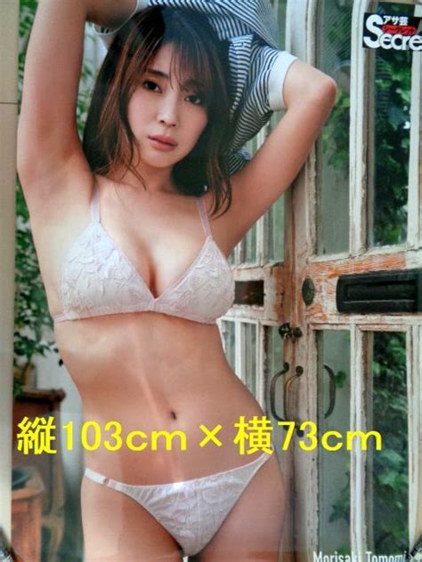 【未使用】【アサ芸シークレット82 森咲智美 ビキニ特大ポスター】縦103cm×横73cm定価3000円の落札情報詳細 ヤフオク落札価格