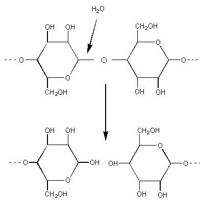 Protein Structure Diagram