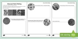 Ks Art Drawing Skills Teaching Pack Teacher Made