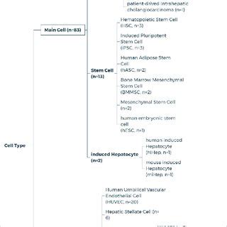 Cell type on liver 3D Bioprinting. | Download Scientific Diagram